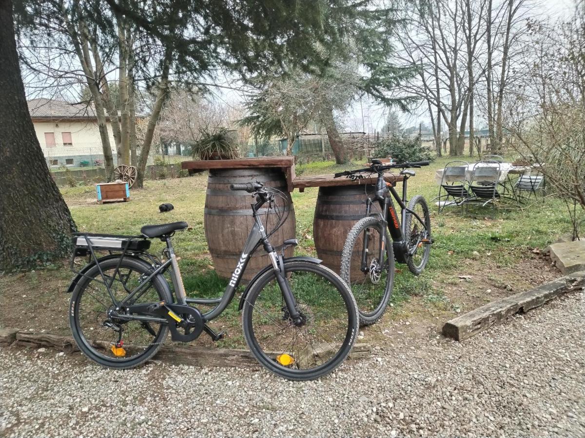 Agriturismo Le Oche Selvatiche Lauzacco ภายนอก รูปภาพ