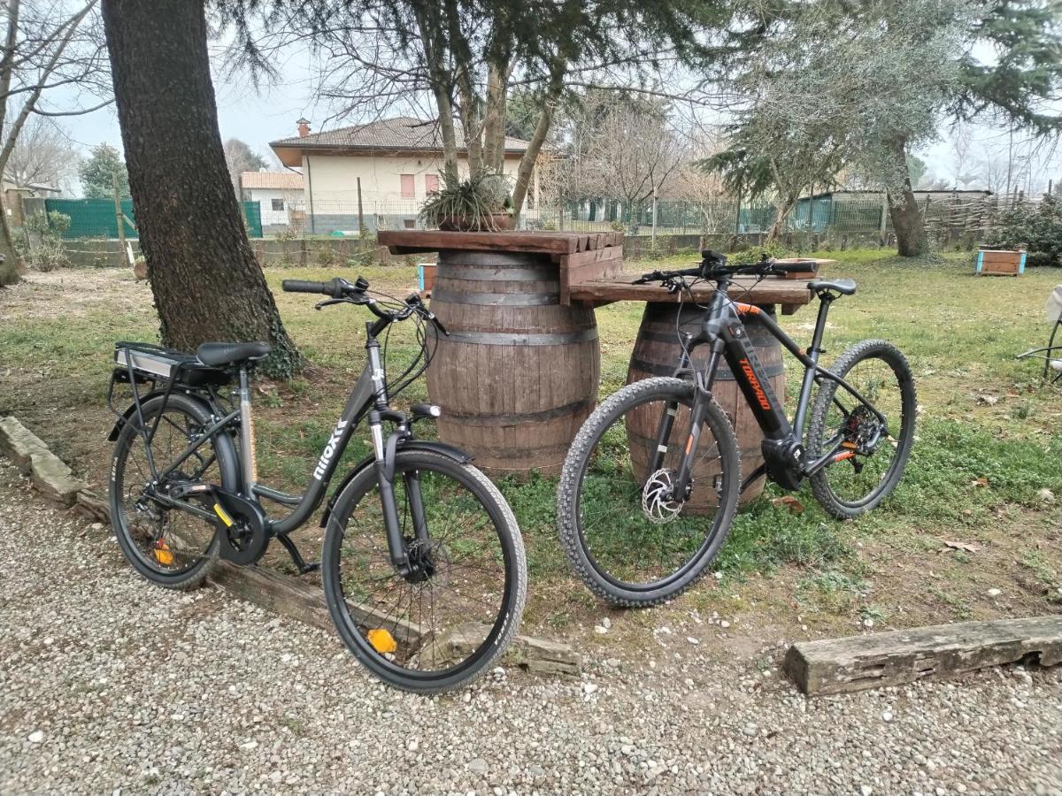 Agriturismo Le Oche Selvatiche Lauzacco ภายนอก รูปภาพ