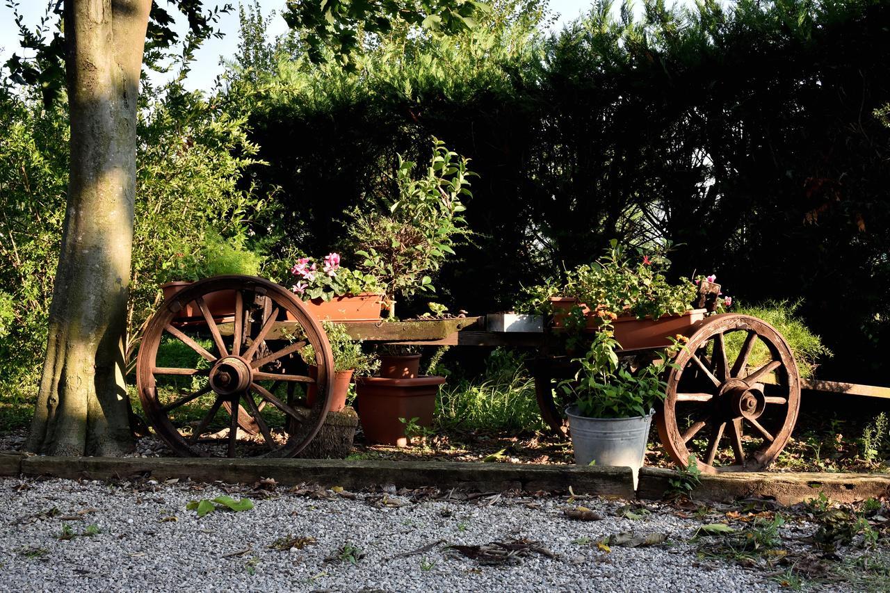 Agriturismo Le Oche Selvatiche Lauzacco ภายนอก รูปภาพ