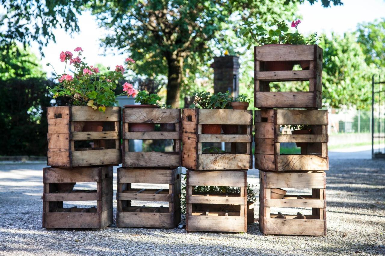 Agriturismo Le Oche Selvatiche Lauzacco ภายนอก รูปภาพ