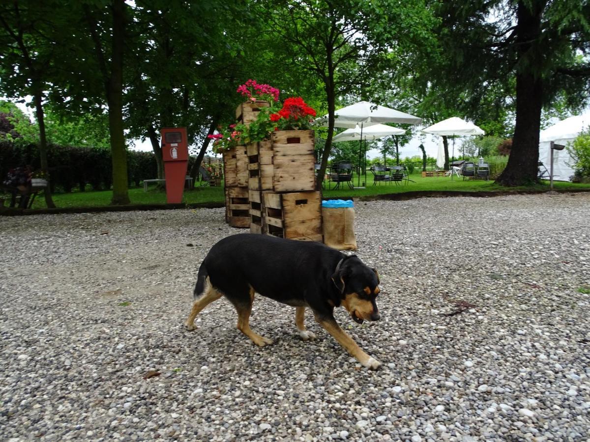 Agriturismo Le Oche Selvatiche Lauzacco ภายนอก รูปภาพ